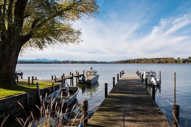 據反映出領 據反映出領