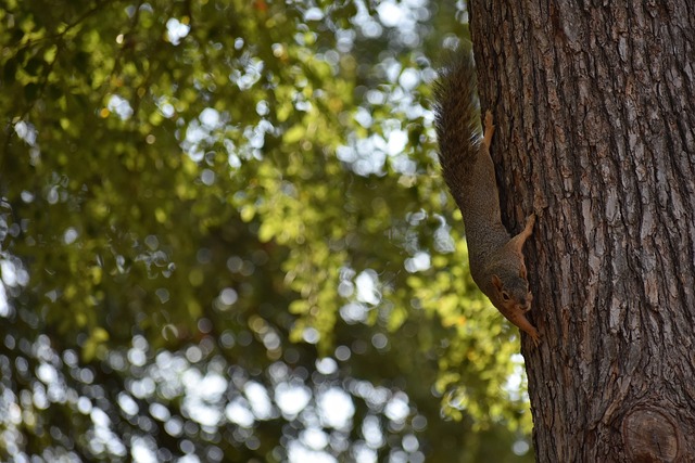 个重要问题 个重要问题