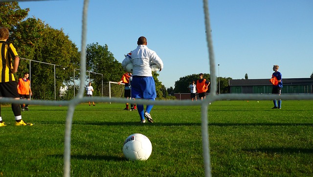 湖人胜灰熊，扩大领先优势！独行侠2连胜，升至第9位的西部排名30日总结.