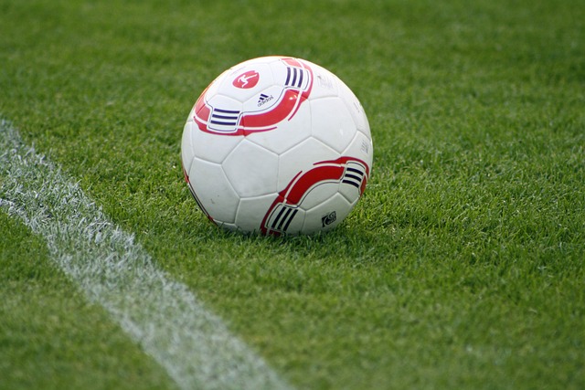 世亚预：日本 - 沙特阿拉.